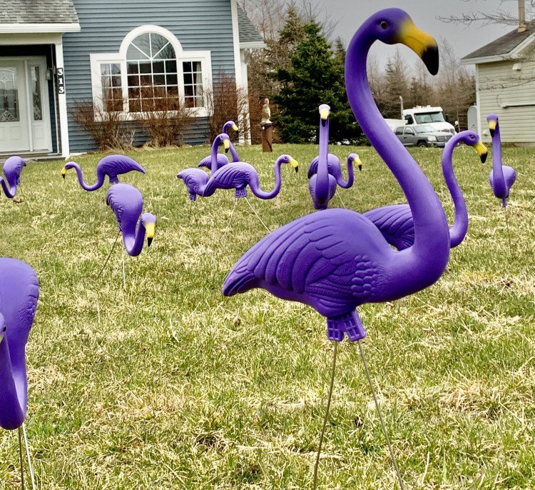FLAMINGO YARD DISPLAY - PURPLE