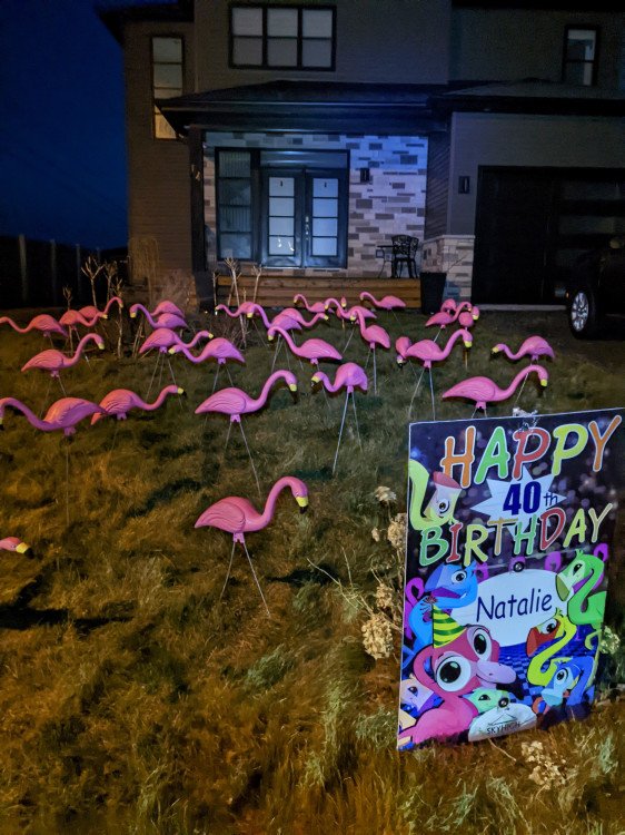 FLAMINGO YARD DISPLAY - PINK