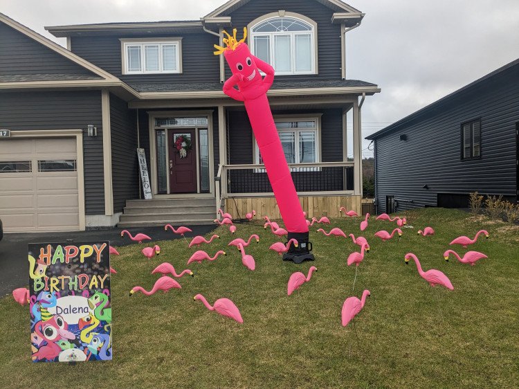 PINK FLAMINGO DANCE PARTY