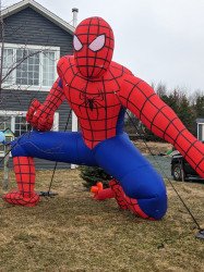 PXL 20230425 095316024 1682425063 1 SPIDERMAN