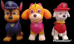 PhotoRoom 20221116 170520 1668634778 SKYE