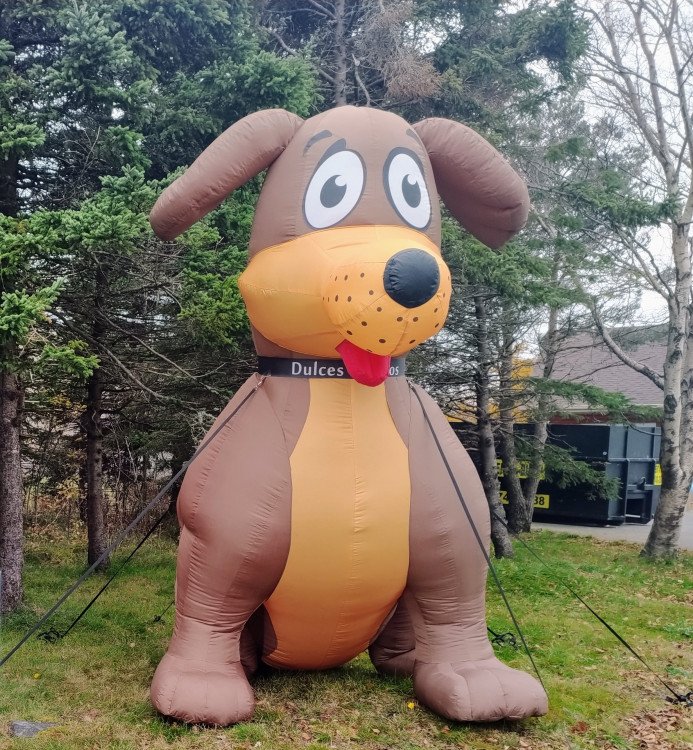 MAX THE DOG