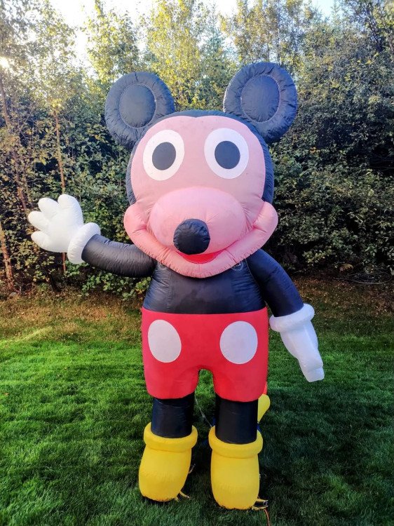 MICKEY MOUSE