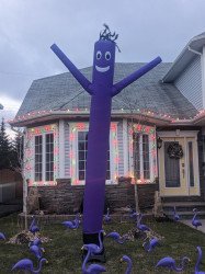 PURPLE FLAMINGO DANCE PARTY