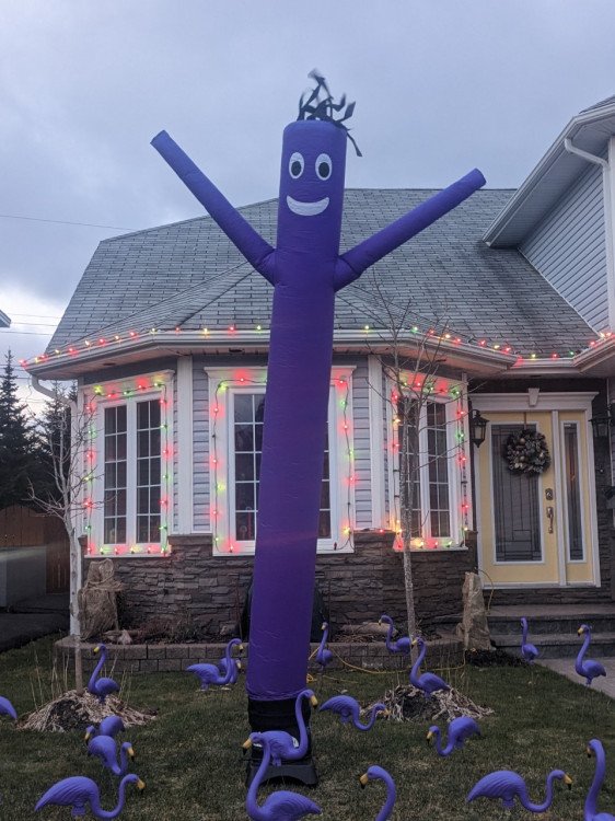 PURPLE FLAMINGO DANCE PARTY