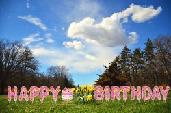 71MC3QyHWfL. AC SL1500 1675563202 Happy Birthday Yard Cards (BAKER) - $20.00 Add On